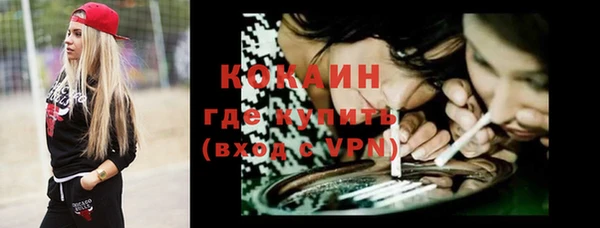 молекула духа Алексин