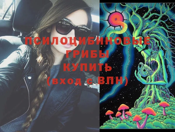 молекула духа Алексин