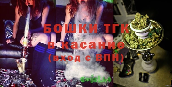тгк Алзамай