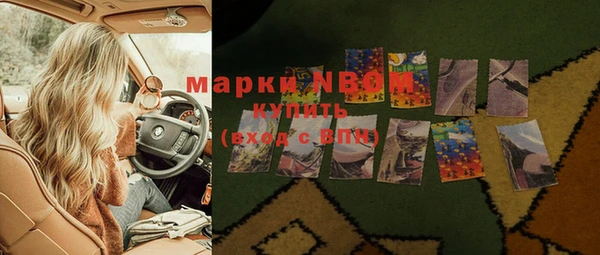 тгк Алзамай