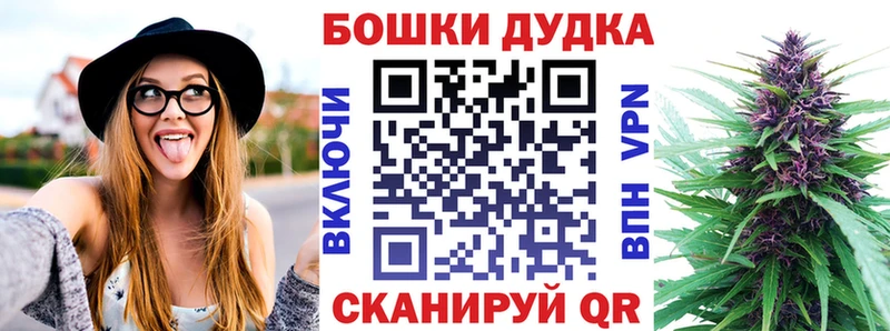 закладка  Ахтырский  МАРИХУАНА семена 